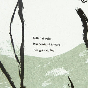 Stampa Poetica haiku - Cinzia Franceschini illustra "Dal volo"